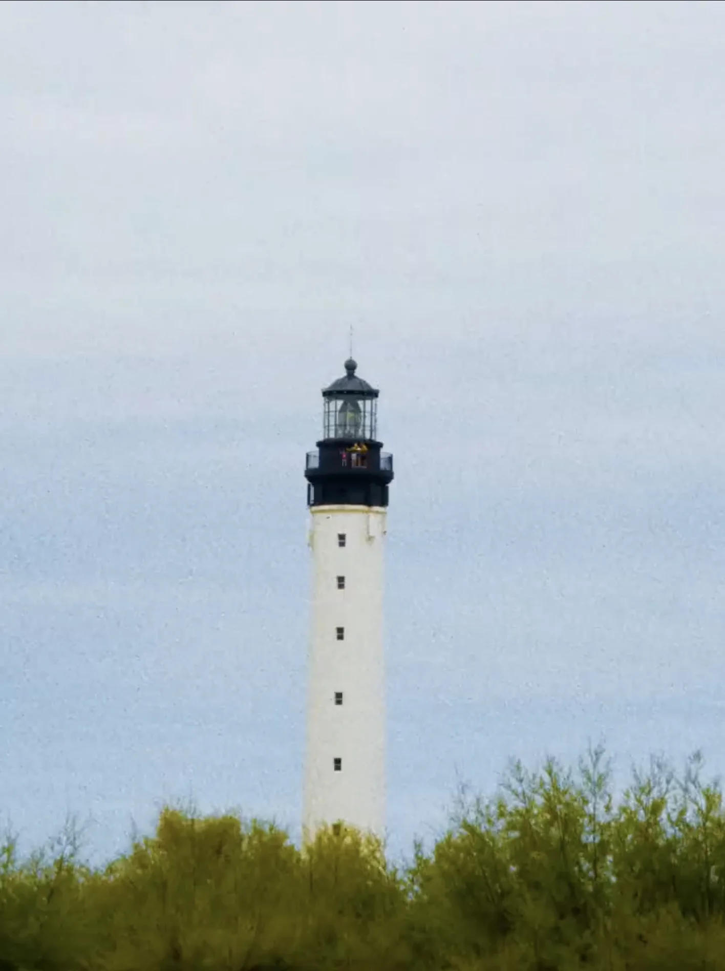 Tall white lighthouse with black top standing behind green shrubs under a gray sky.