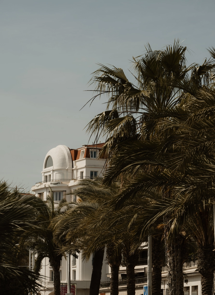 White building with a rounded dome-style roof partially obscured by tall palm trees under a clear sky.