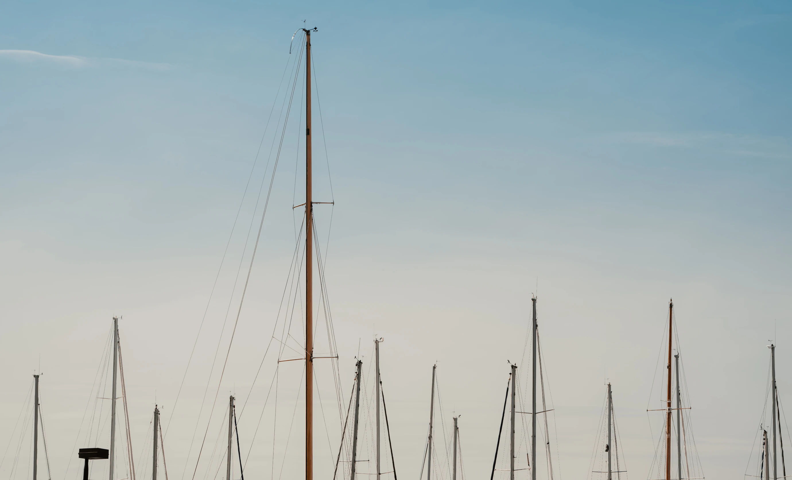 Alignment of boat masts in the bay, Experimental Group.