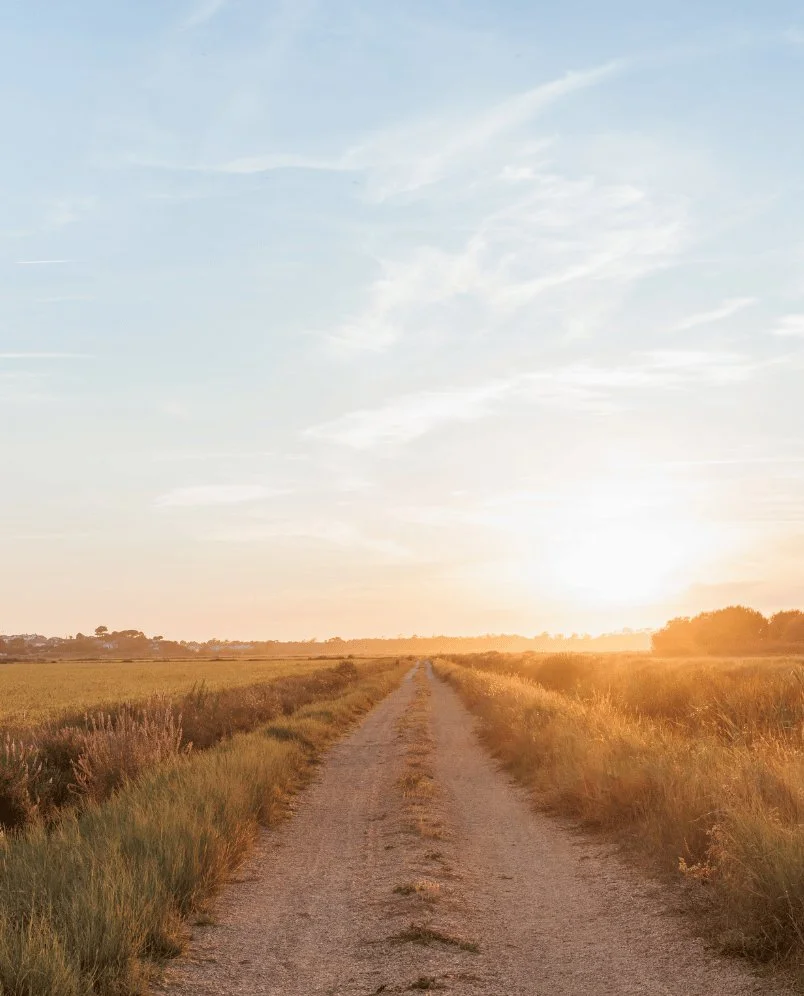 A peaceful, sun-drenched path through the dunes near Comporta Café, capturing the serene atmosphere of the Experimental Group's coastal destination.