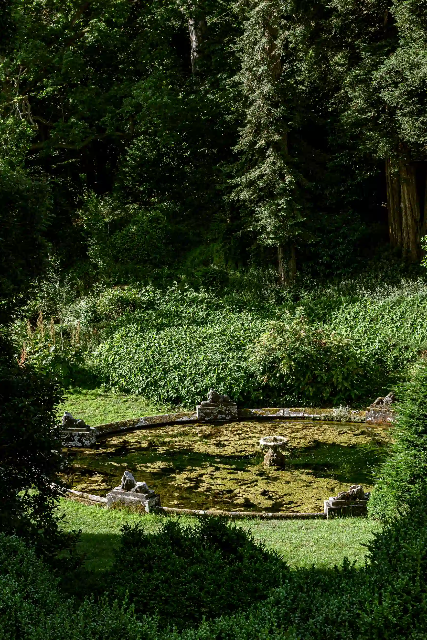 Circular garden pond surrounded by green grass and dense trees with moss on the water surface.