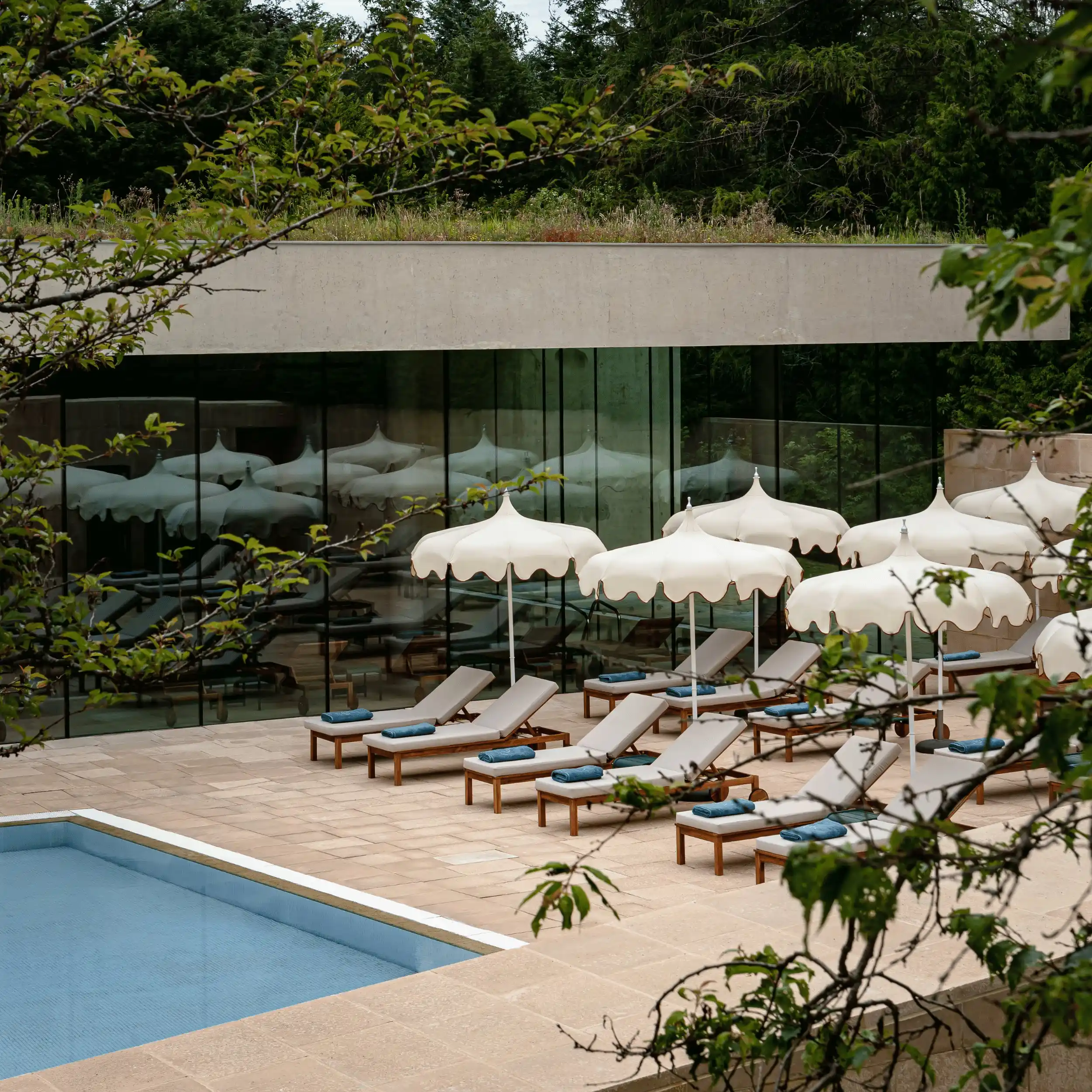 Poolside area with lounge chairs and white umbrellas in front of a glass building surrounded by greenery.