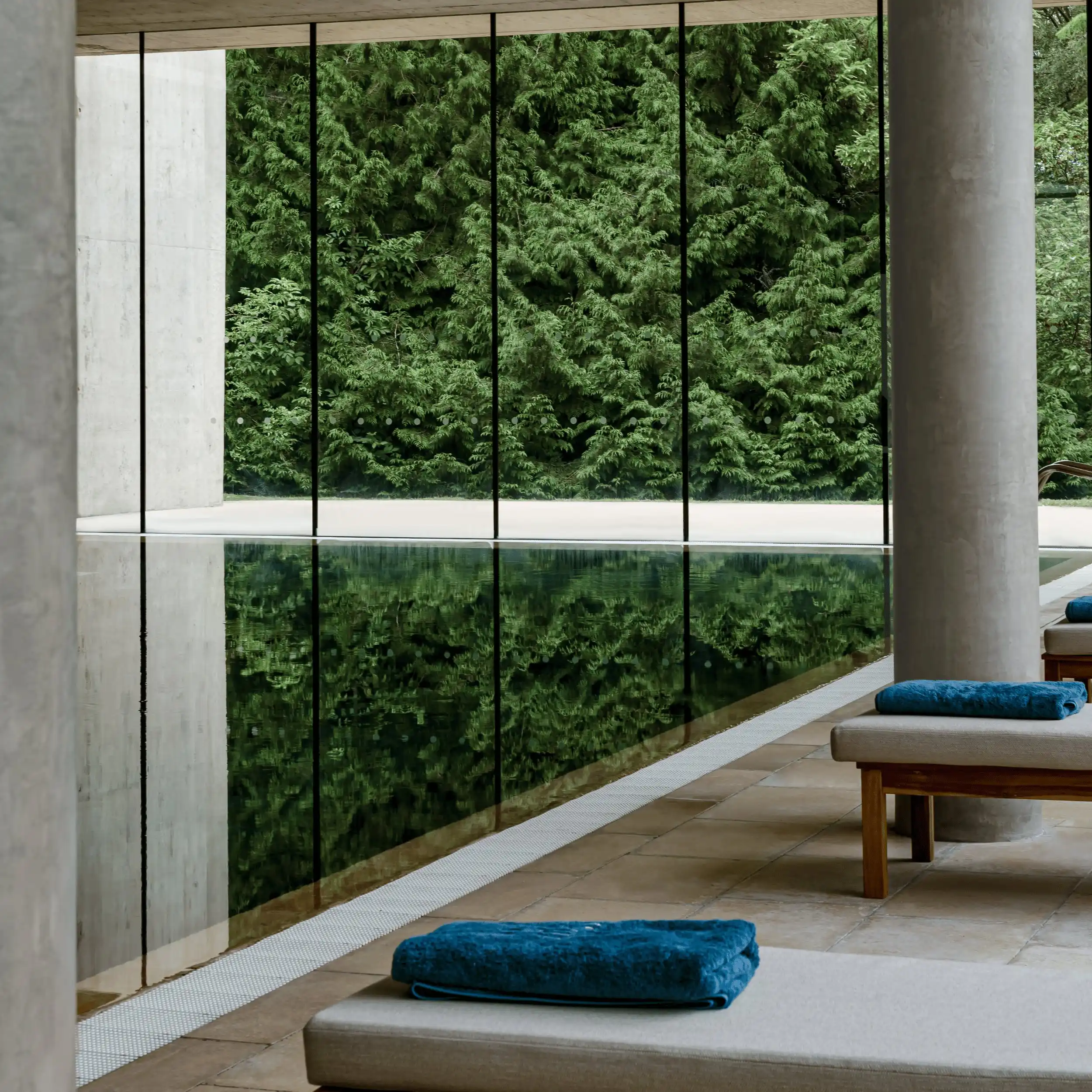 Indoor pool with large glass wall reflecting green trees and lounge chairs with blue towels.