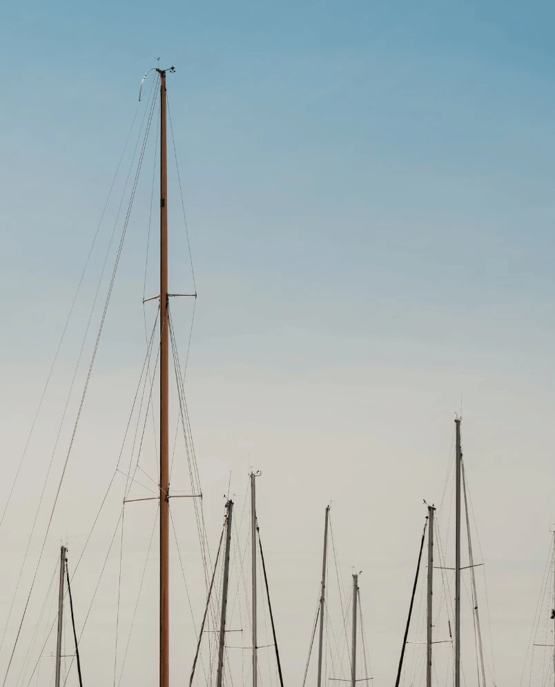 Tall sailboat masts against a clear blue and light sky background.