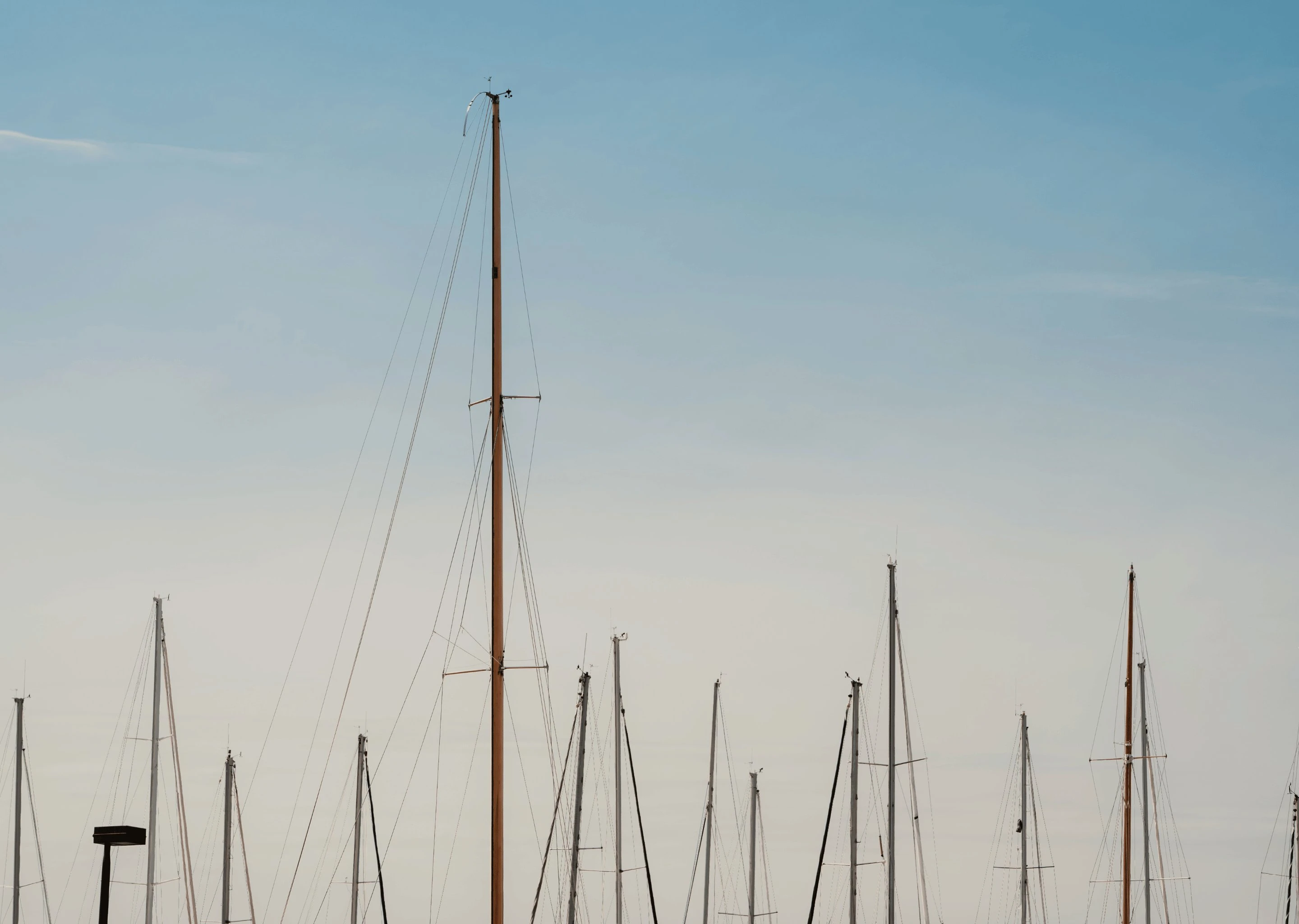 Tall sailboat masts lined up against a clear sky at a marina.
