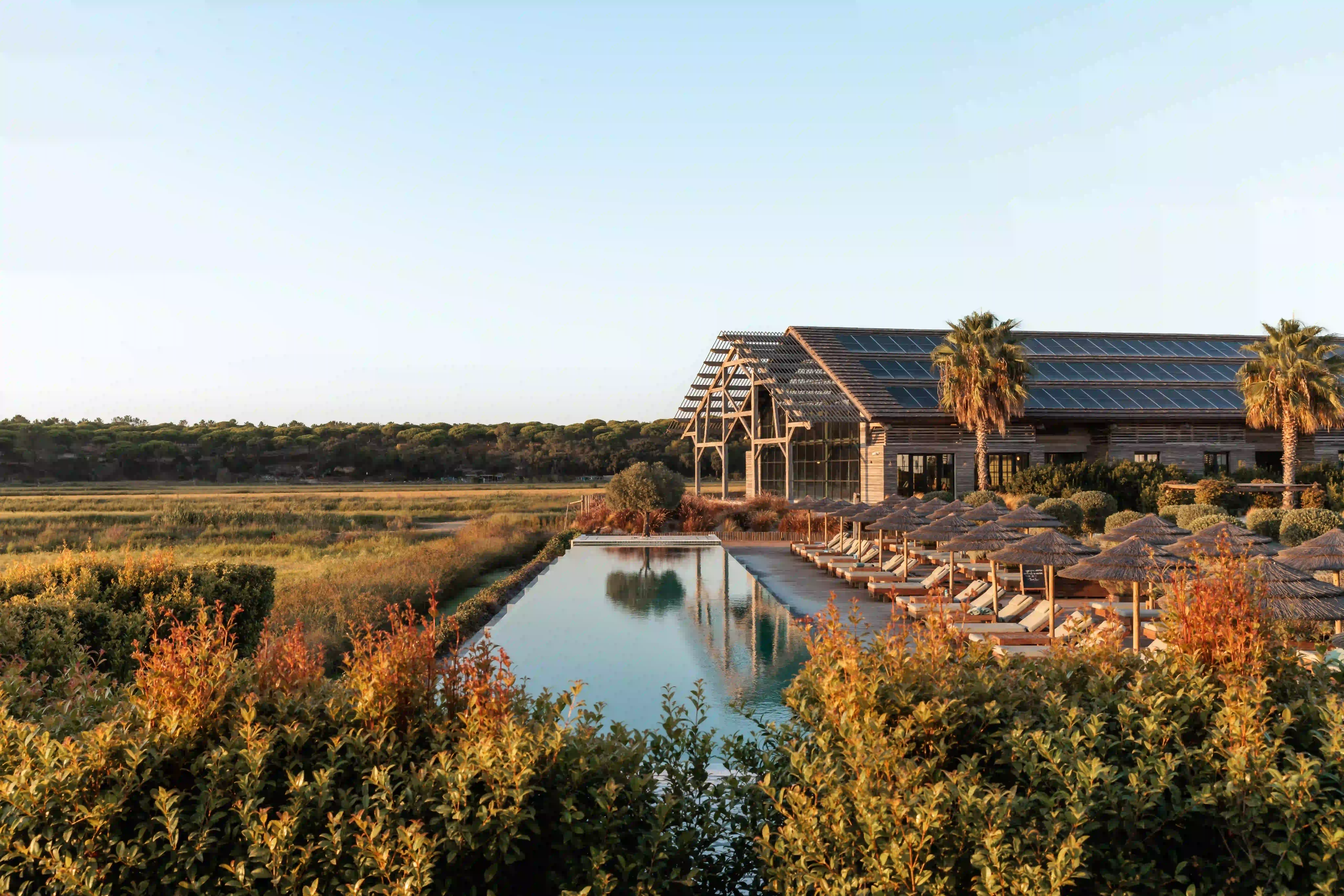 Sunlit outdoor pool with loungers and umbrellas next to a modern wooden building with solar panels.