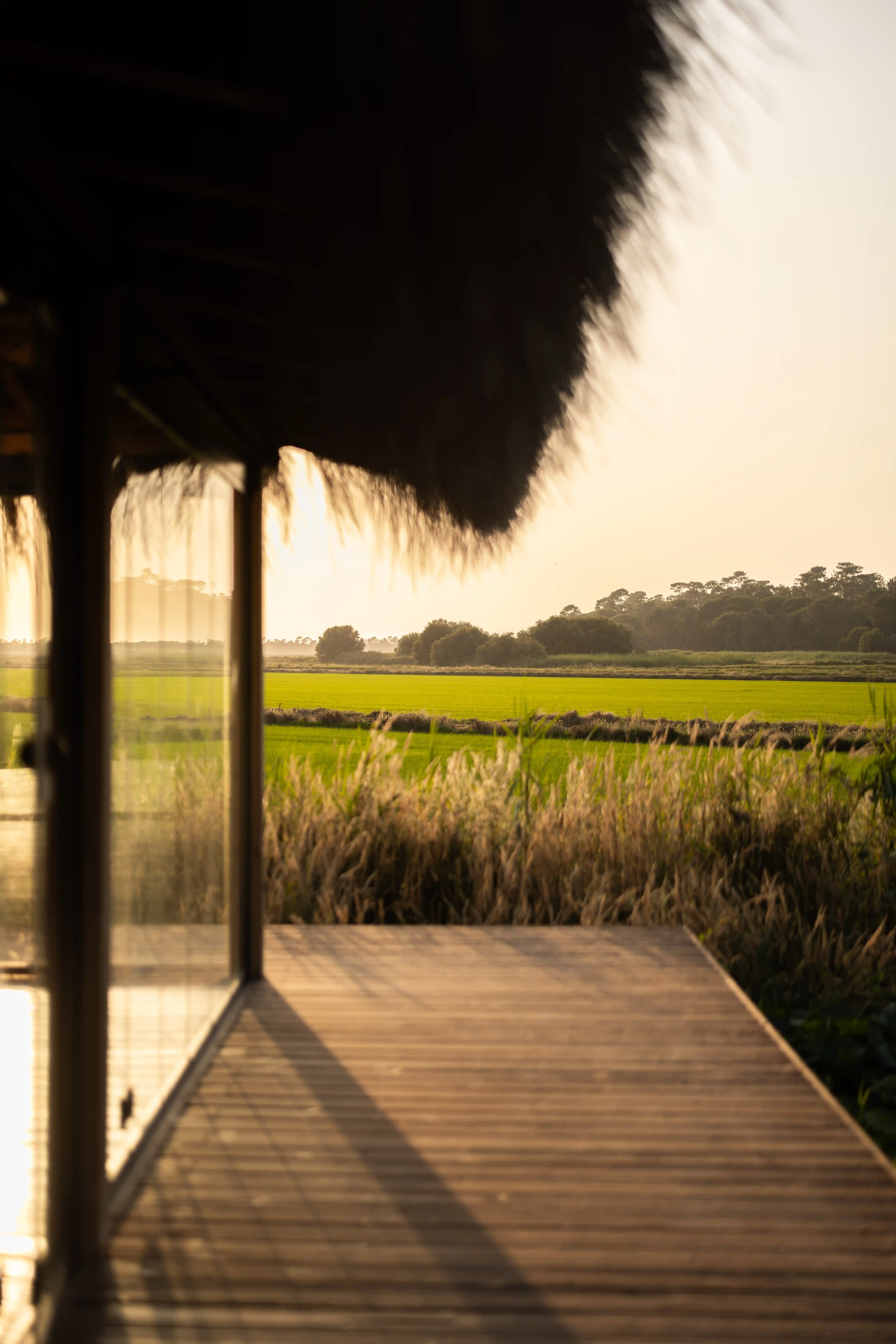 Wooden deck with thatched roof overlooking green fields and trees at sunset.