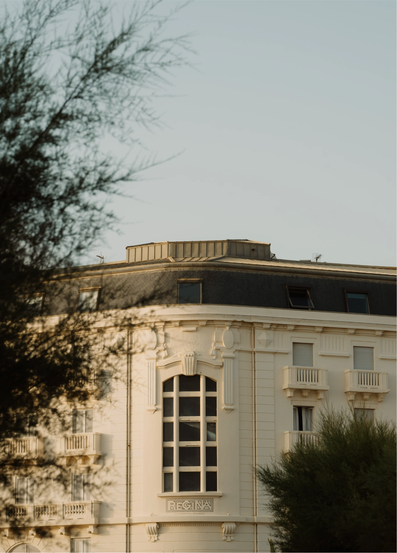 Partial exterior view of a classic building with light-colored walls, featuring a large arched window, partially obscured by a tree in the foreground.