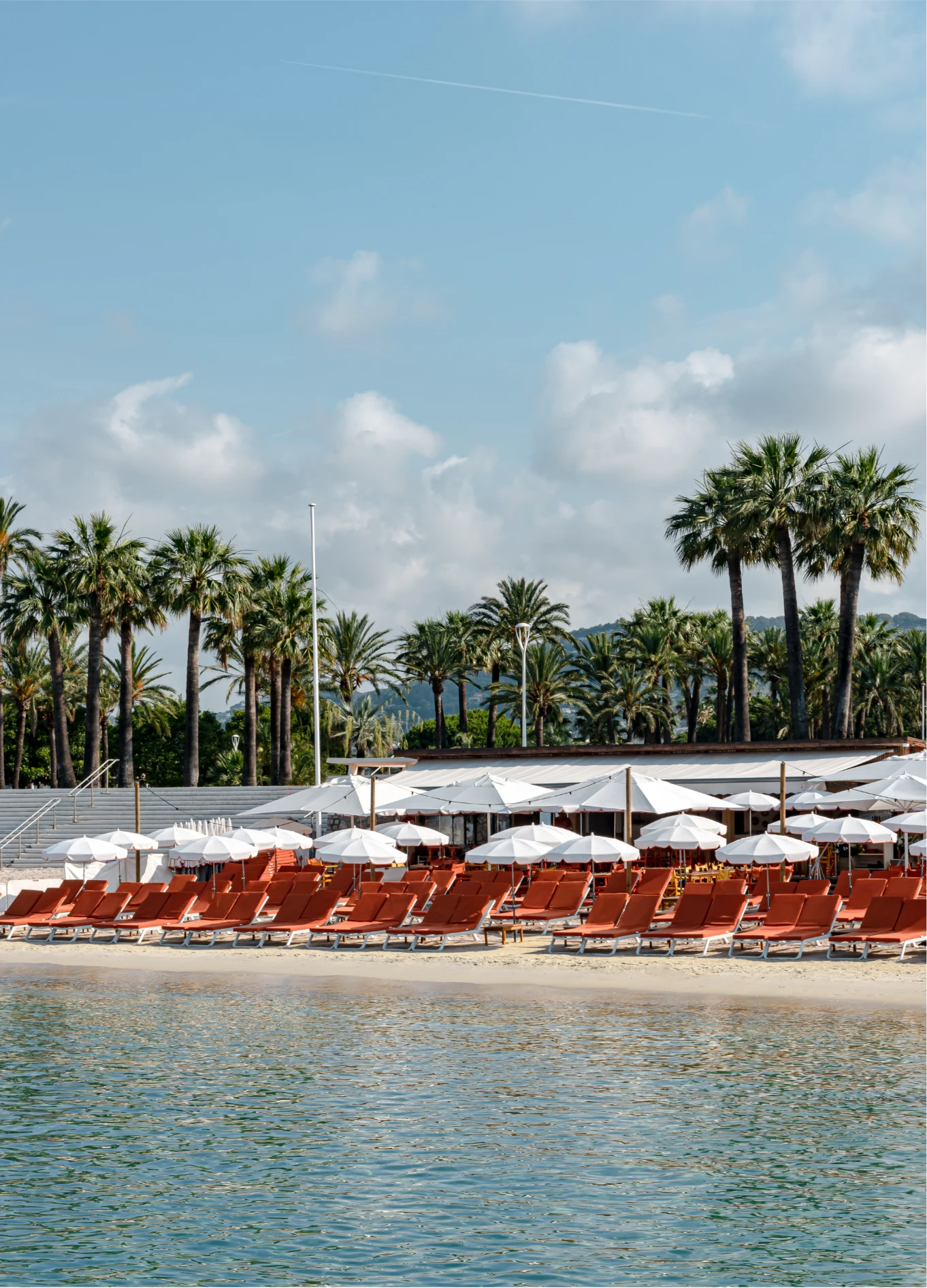 Private beach setup with rows of red sun loungers and white umbrellas, lined with palm trees under a clear blue sky, characteristic of the Experimental Group.