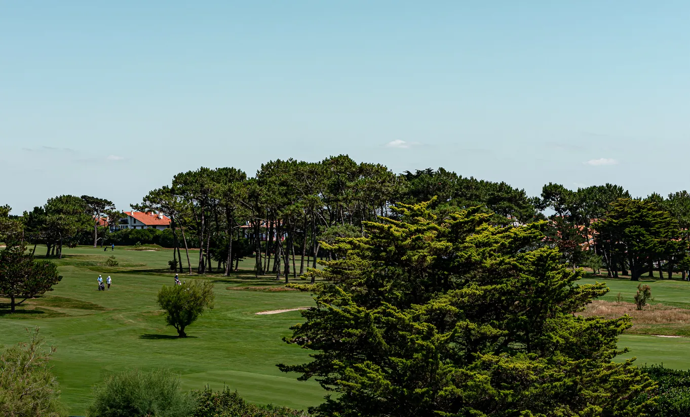 Regina Experimental hotel panoramic view of sprawling green golf course surrounded by pine trees under a clear blue sky