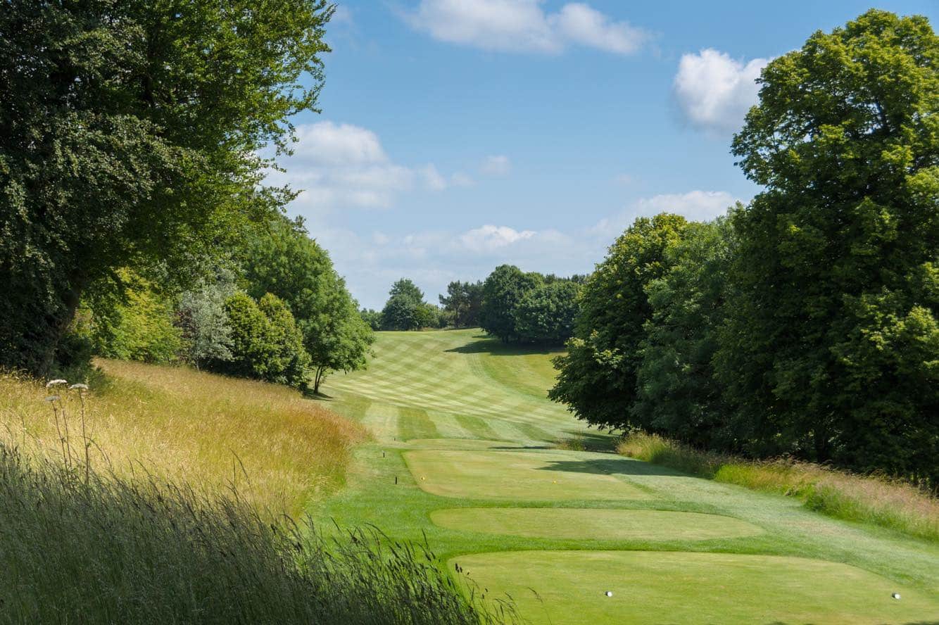 Rolling green countryside with trees and open grassy fields