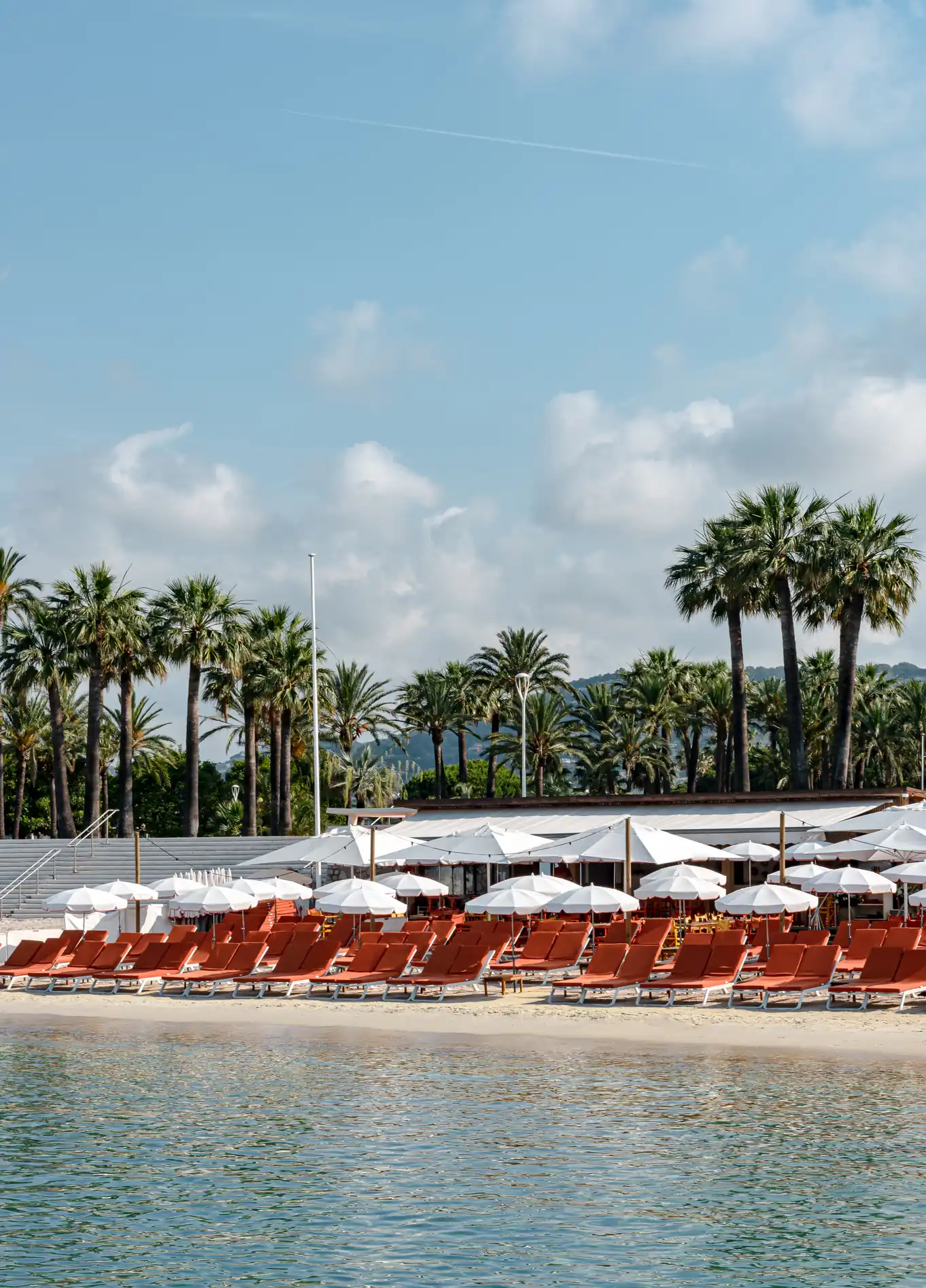 Private beach setup with rows of red sun loungers and white umbrellas, lined with palm trees under a clear blue sky, characteristic of the Experimental Group.